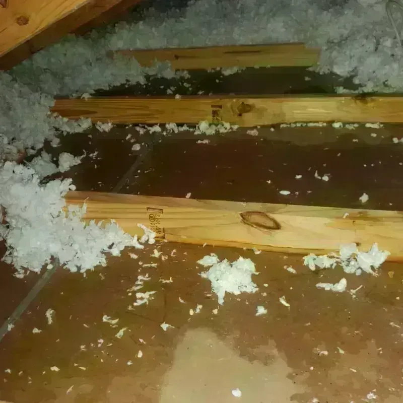 Attic Water Damage in Brownsville, TX