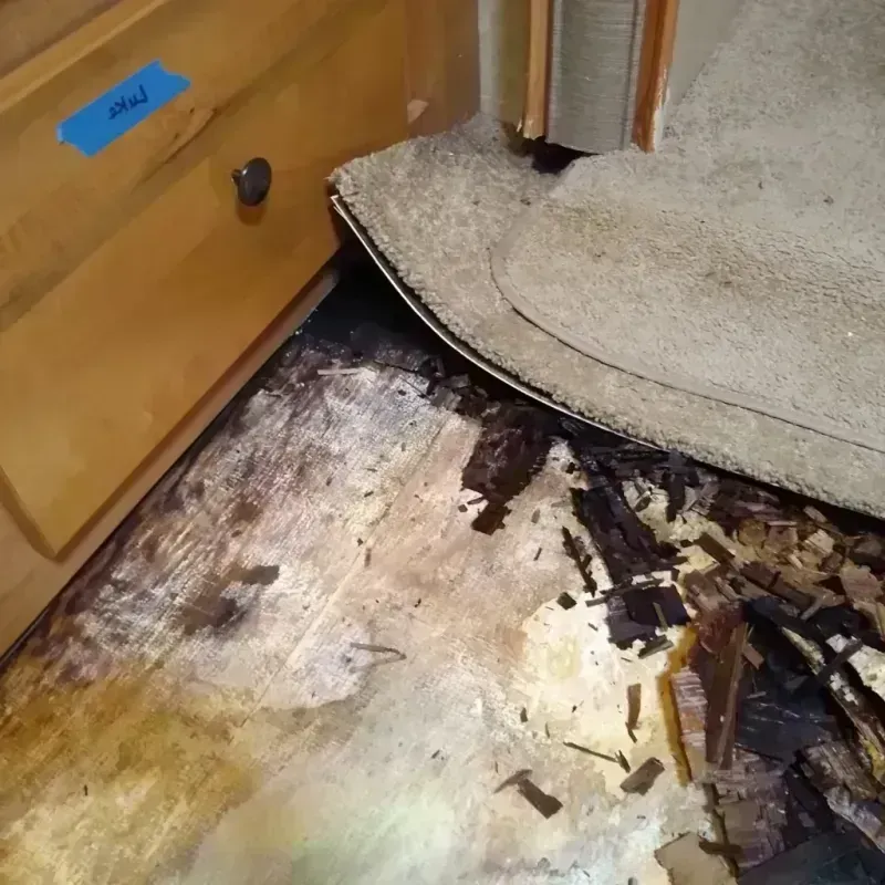 Wood Floor Water Damage in Brownsville, TX